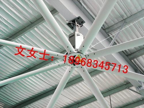 福州工业大风扇可定制直销厂家